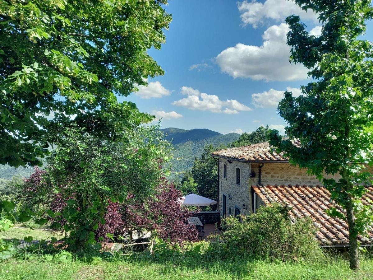 Valle Dame Кортона Экстерьер фото
