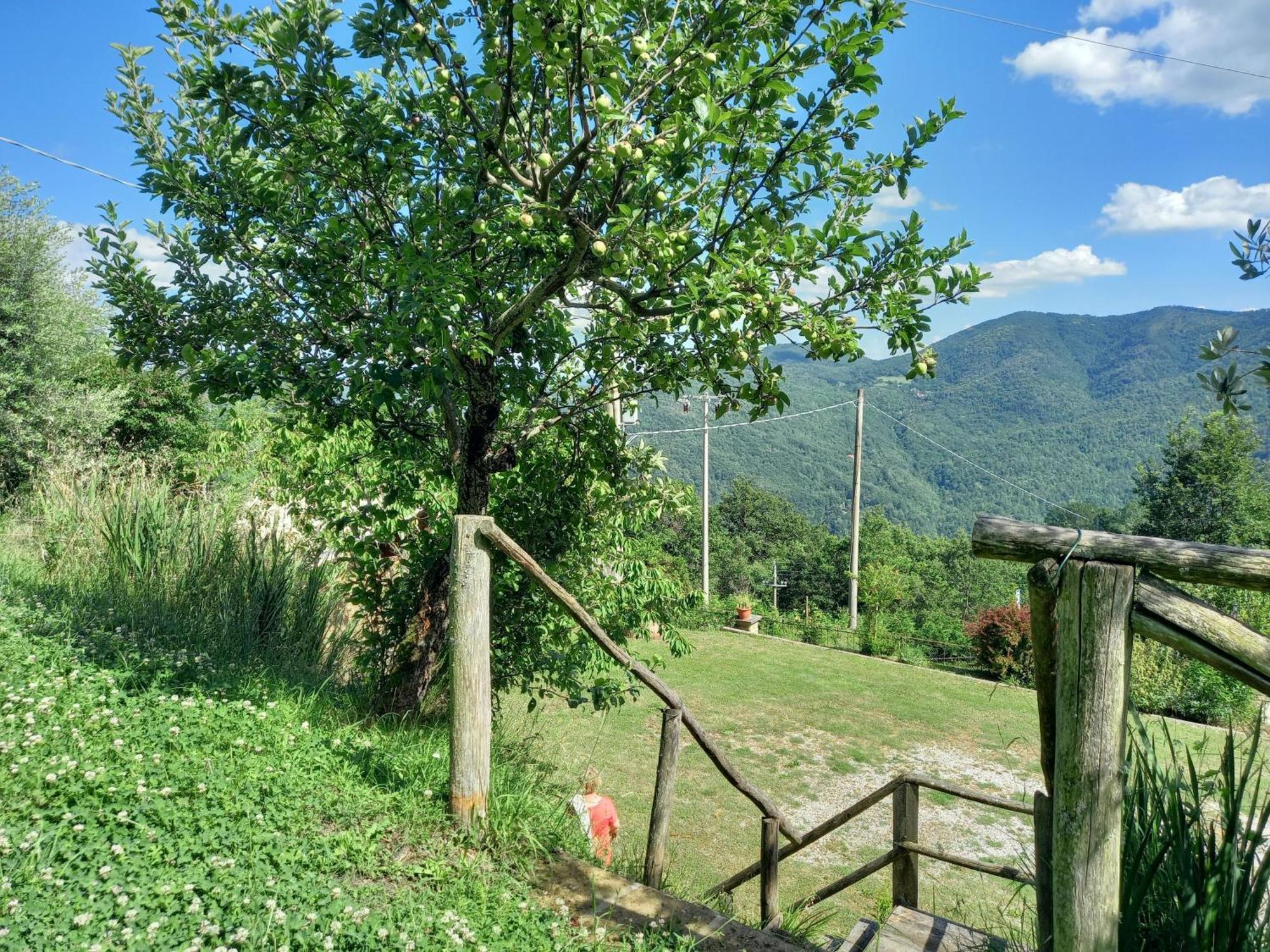 Valle Dame Кортона Экстерьер фото